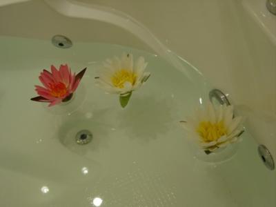 lotus in bathtub