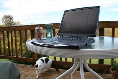 Chillin' on the Deck