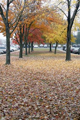 In front of Edison School, 10-04