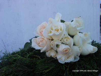 white roses, cemetery, antigua, guatemala