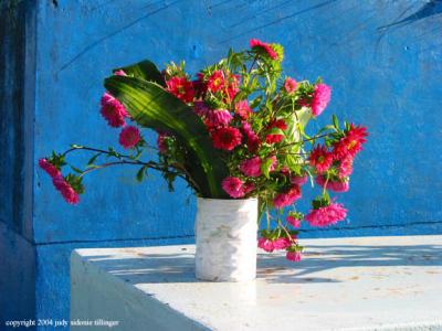 fred flowers blue wall, san lucas toliman, guatemala
