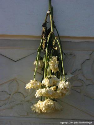 flowers, san lucas toliman, guatemala