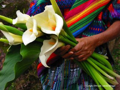 10.28 grandmother with callas 20 star.jpg