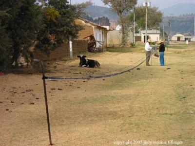 long weaving, salcaja, guatemala