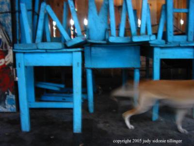 blue chairs and dog, chichi, guatemala