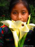 girl with callas, antigua, guatemala