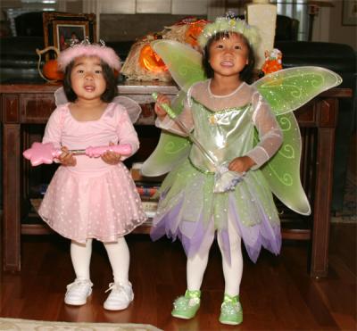 A fairy and Tinker Bell