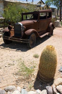 Rusty old car and cactus