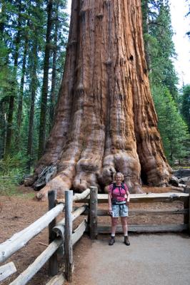 Susanne and General Sherman - worlds' largest tree