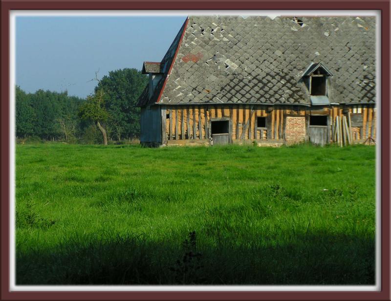 Farm, heights of Charentonnes valley