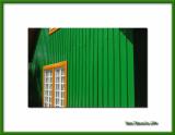 Green wooden house, Sao Pedro de Moel, Portugal