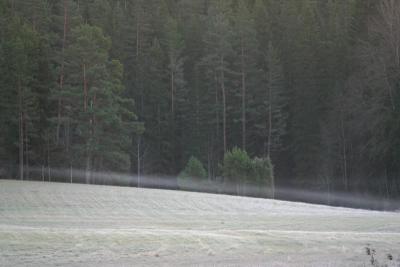 Mist over the frosty fields