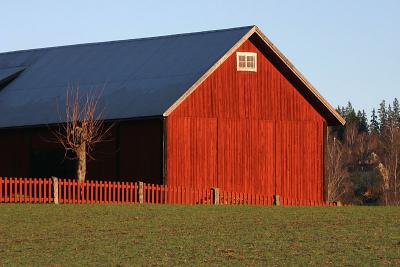 One of many red barns