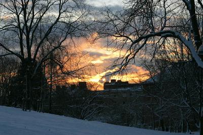 Winter sunrise