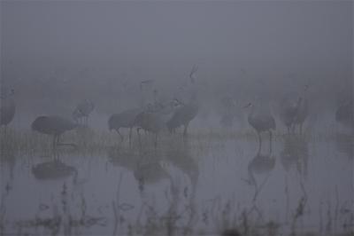 JW5Z2545.jpg