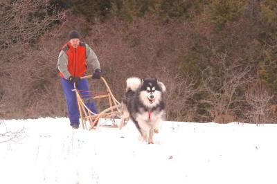 Dsc_0096.jpg