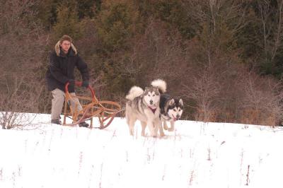 Dsc_0099.jpg