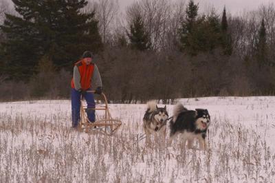 u49/marksturtz/medium/35788174.Dsc_0118.jpg