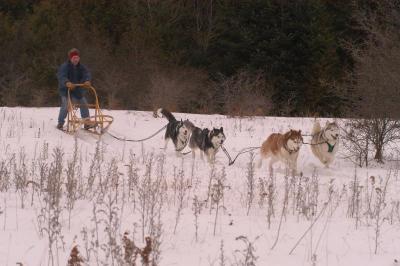 Dsc_0122.jpg