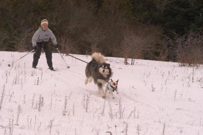 Dsc_0126.jpg