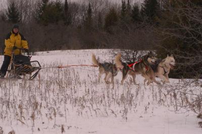 Dsc_0144.jpg