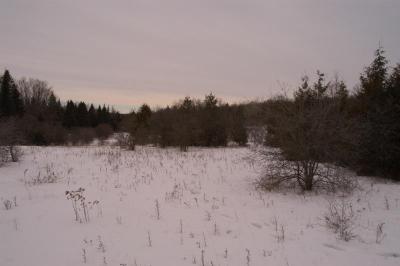 Dsc_0156.jpg
