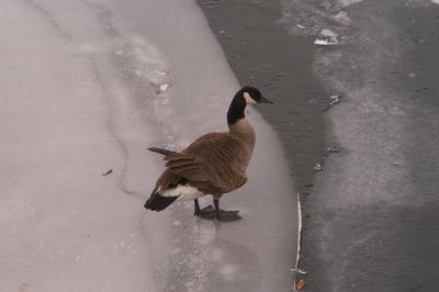 Dsc_0184.jpg