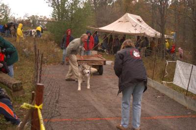 u49/marksturtz/medium/36116834.Dsc_0904.jpg