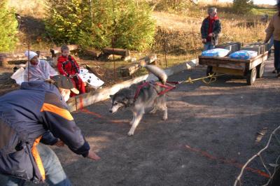 Pac 'N' Pull  2003