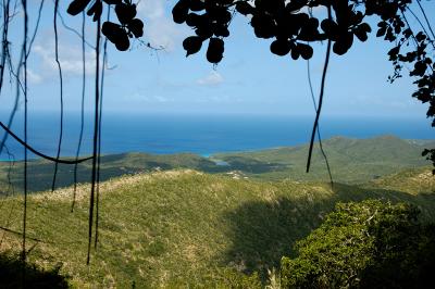 View from Mt. Christoffel