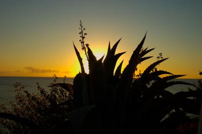 Sunset in Curacao #2