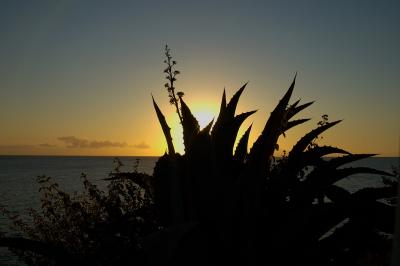 Sunset in Curacao #3