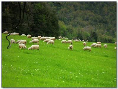 Landscape of Tuscany