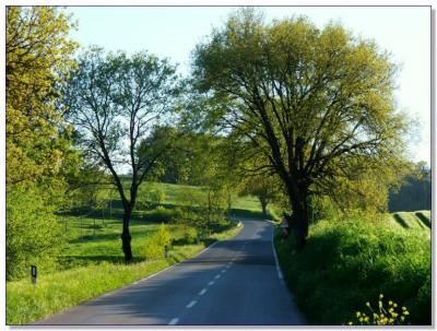 Landscape of Tuscany