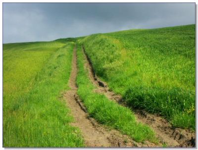 Landscape of Tuscany