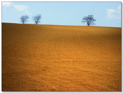 Landscape of Tuscany