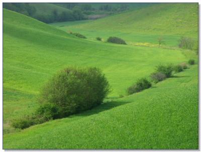 Landscape of Tuscany