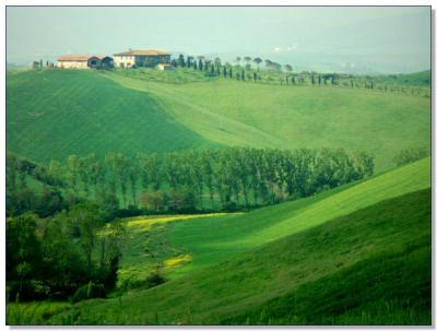 Landscape of Tuscany