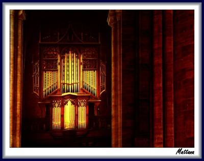 Organ III