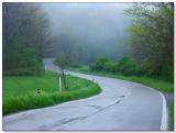 Misty Tuscany