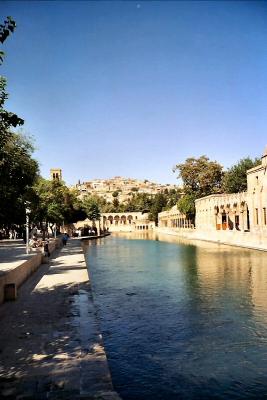 Abraham's pool, Urfa