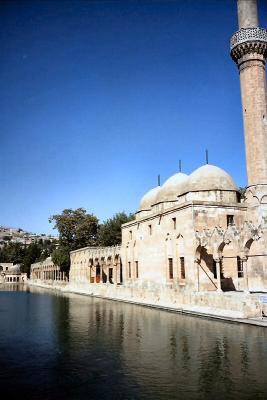 Abraham's pool, Urfa