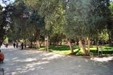 Abrahams pool, Urfa