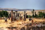 Selcuk cemetery at Ahlat, Lake Van