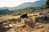 Kaunos, Dalyan