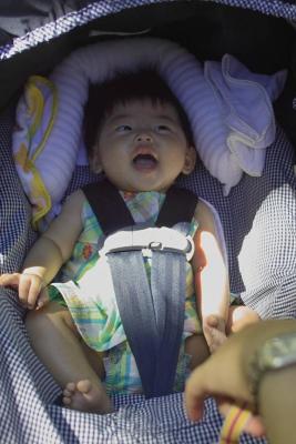 IMG02045.jpg