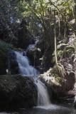 IMG01986.jpg