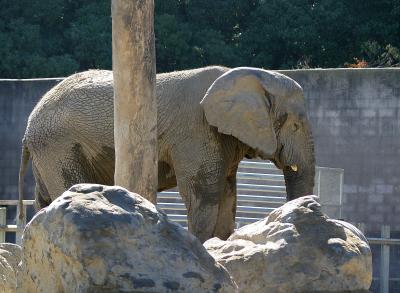 zoo0049R1.jpg
