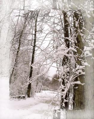 Winter photo