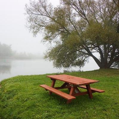 Picnic Table in Fog